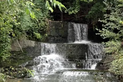 Image de Backyard Waterfall and Cayuga Lake Views!