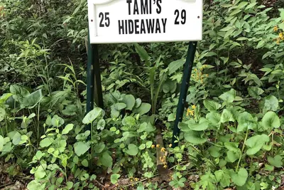 Tami's Hideaway - Nature and Comfort at this Private Asheville Getaway