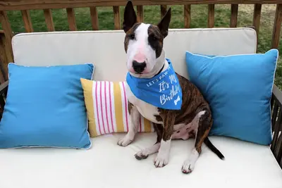 Image de Cape Escape