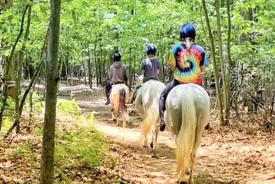 Image de Cozy Farm home near I83. Surrounded by private park and hiking trails, fire pit!