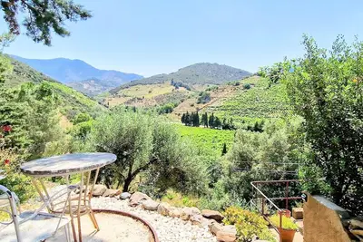Image de Maison 4* indépendante avec vue sur vignes - Terrasse - Parking