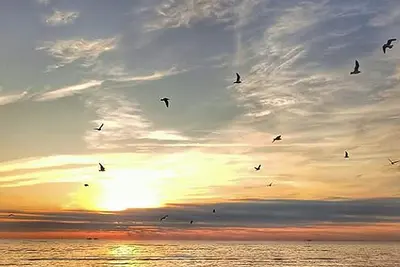 Image de Newly available June 27 to July 10 Milford beach cottage. Steps to beach.