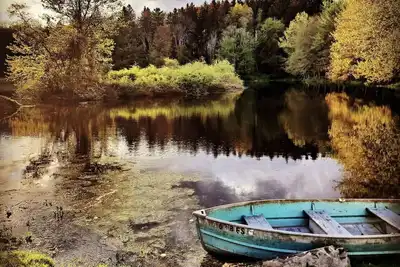 Image de Triple listing! 6bd/4 ba - 3 cabins!