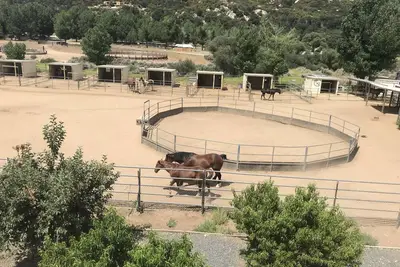 Image de Farm Stay 101