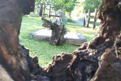 Image de The Old Season; old train station. Near beach and mountains. Special.