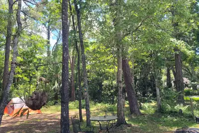 Image de 4. 5 Miles To Macraes Boat Ramp! ! Spacious with plenty of room for boats or RVs.