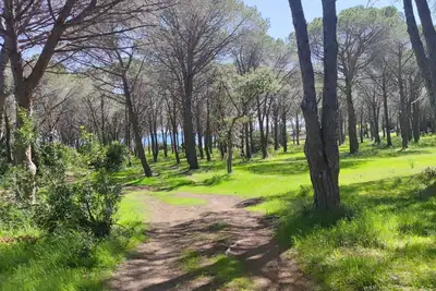 Image de Maison Budoni  En Bord De Mer -Un Havre De Paix A BAÏA Sant'Anna En Sardaigne