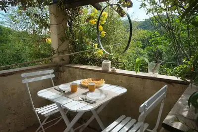 Image de En pleine forêt, appartement dans mas en pierre. Piscine, étang, espace privatif