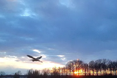 Image de Relaxing cottage on Carry Bay boasting beautiful sunsets.