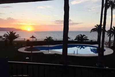 Image de Palmeras 53 Menyber