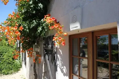 Image de Saint Germain (5 p. )