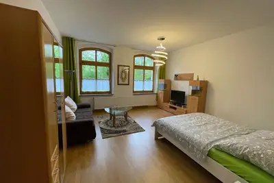 Image de Vacation apartment/apartment for 4 guests with 46m² in Zwickau (153923)