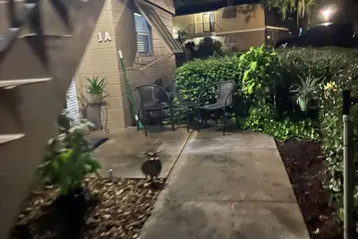 Image de Kick of your boots it’s Fun time! !