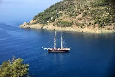 Image de Carla House