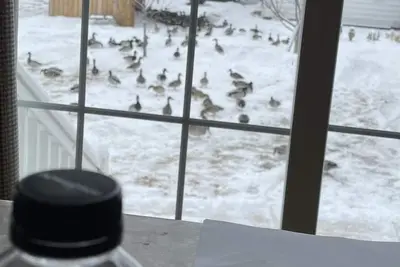 Image de If you look for fishing and shopping this is your place