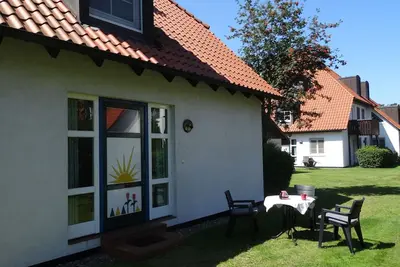 Image de Swaantje Cormorant Q3