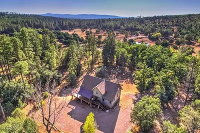 Image de Welcome to The Burrow: Your Forest Paradise