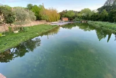 Image de \"Olive, the natural\" Gite nature du Mas des Teullieres