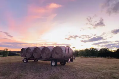 Image de Spectacular 100-acre Country Estate/Farm near Creemore village