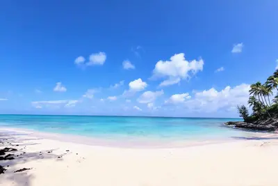 Image de Conch'd Out Beach Cottage: Semi-private beach. Ocean views. Adults only.