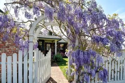 Image de Wisteria - Carmel House - Close to Downtown, Beaches, Big Sur and Pebble Beach