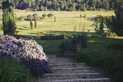 Image de Les Charmes Du Sud De La France Dans Une Villa De Luxe 5 *(Piscine Privee&260ha)