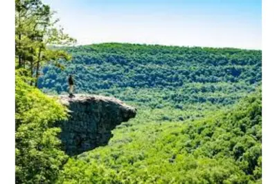 Image de Studio sleep for 4 at The Manhattan Club