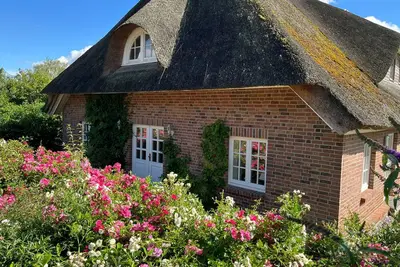 Image de Ferienwohnung mit Reetdach und Ostseeblick Ovs 102 - 3-raum-ferienwohnung bis 6 Pers