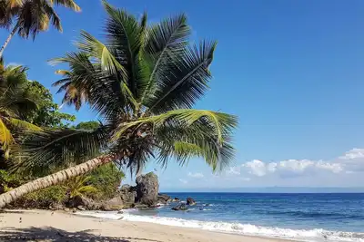 Image de Un paradis caché. Terrasse Vue splendide, 2 Plages privées, nature tropicale