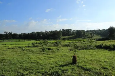 Image de George's Cottage & Resort