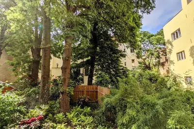 Image de Gros Nounours