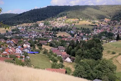 Image de Baiersbronn, Forêt-Noire, vue, 2 chambres, soleil, balcon, calme, Schwarzwald