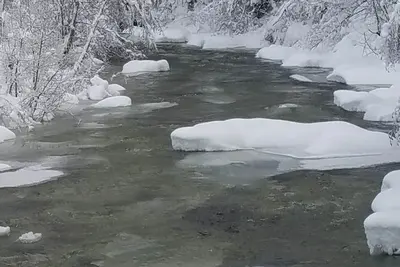 Image de Wooded, peaceful setting 15 minutes from  the Lake!