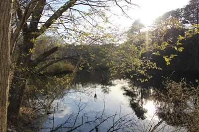 Image de Small 1 bedroom Cottage by Herring Run Pond. #18