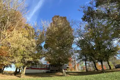 Image de Country living at its best