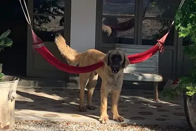 Image de Herdade da Saudade - La Casita