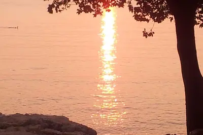 Image de Croatia vacation apartment Dorade Pula district not far from center & beach & quiet