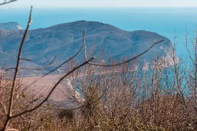 Image de Total relax!