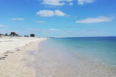 Image de la belle hermine du haut de la plage vue mer