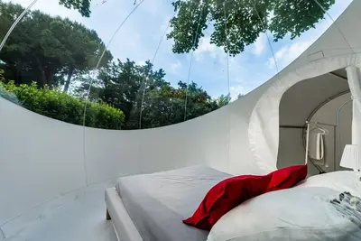 Image de Underthetuscanstarsbubble