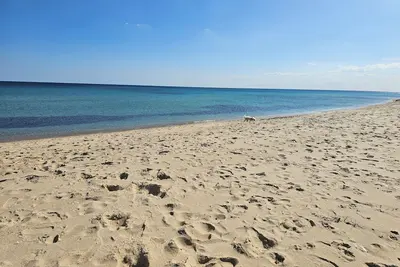 Image de Un appartement de charme à Hammamet