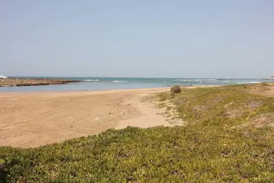Image de \"La Grande Propriété Etoile de Mer \".