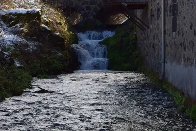 Image de Au bord du ruisseau