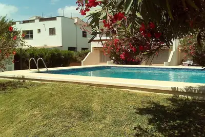 Image de Lauriers de Méditerranée.