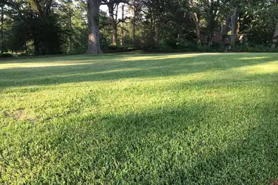 Image de Week in the Country