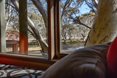 Image de Snowgums 7 - Dinner Plain