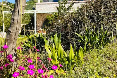 Image de Großzügige Ferienwohnung mit Terrasse. 5 Minuten zu Fuss bis zum Strand