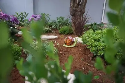 Image de Garden House