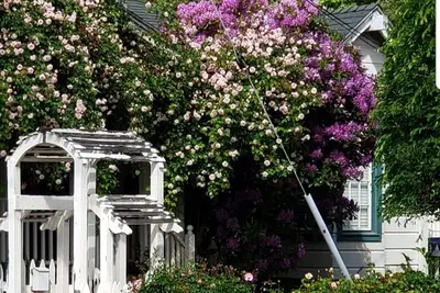Image de San Francisco Suburb French farmhouse - great location