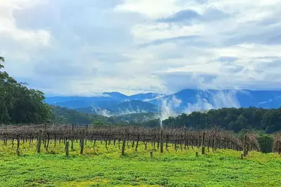 Image de \"KiNam Vinea\" - A Farm Stay in the Yarra Valley